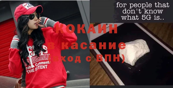 прущие грибы Гусиноозёрск