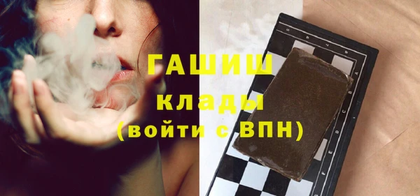 прущие грибы Гусиноозёрск