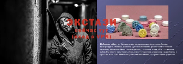 прущие грибы Гусиноозёрск
