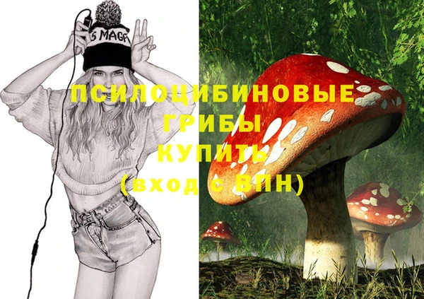 МДМА Горняк