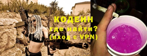 прущие грибы Гусиноозёрск