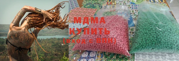 прущие грибы Гусиноозёрск