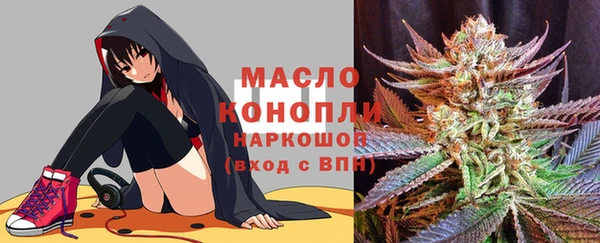 прущие грибы Гусиноозёрск