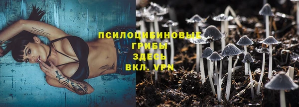 apvp Гусь-Хрустальный
