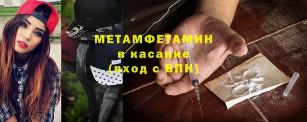 прущие грибы Гусиноозёрск