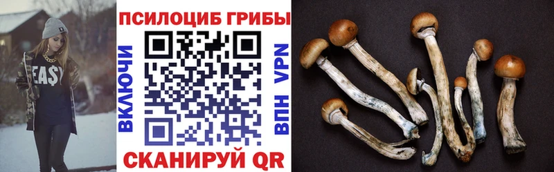 Галлюциногенные грибы ЛСД  Чулым 